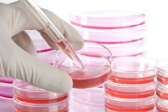 آزمون&zwnj; های برون&zwnj; تن in vitro بررسی سمیت نانومواد