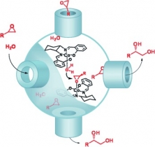 نانوراکتورهای خودآرا Self-assembled Nanoreactors